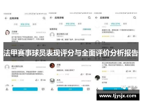 法甲赛事球员表现评分与全面评价分析报告