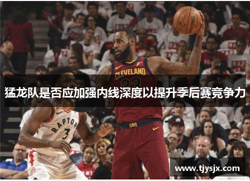 猛龙队是否应加强内线深度以提升季后赛竞争力